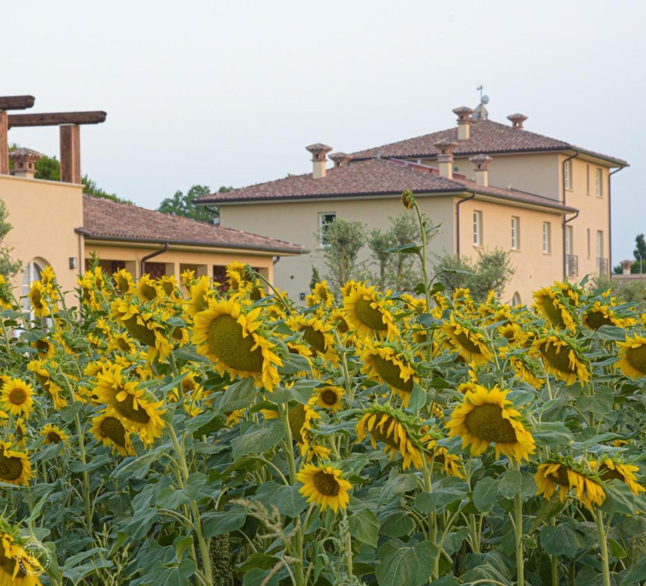 Agriturismo Villa Toscana カンピーリア・マリッティマ エクステリア 写真