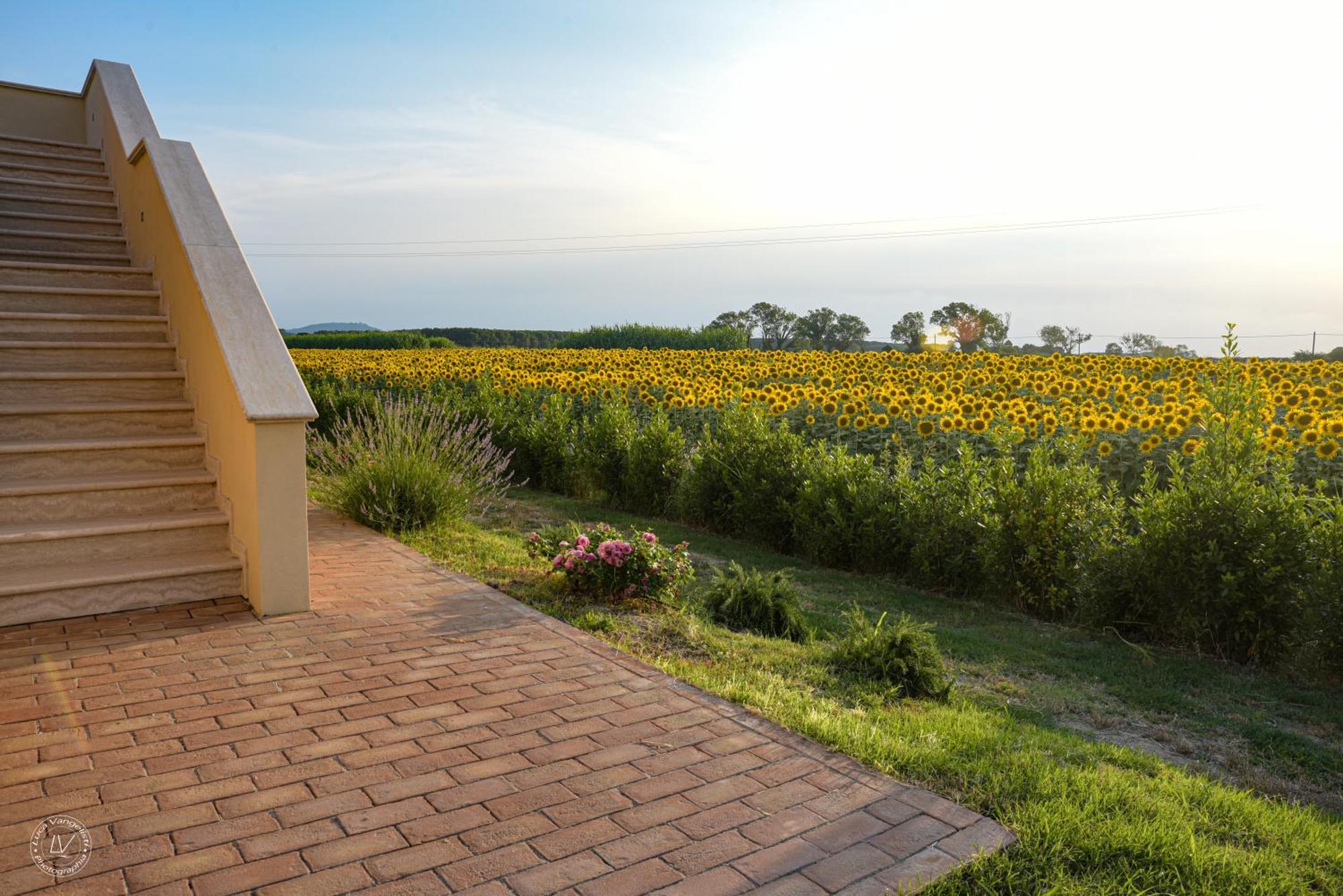 Agriturismo Villa Toscana カンピーリア・マリッティマ エクステリア 写真