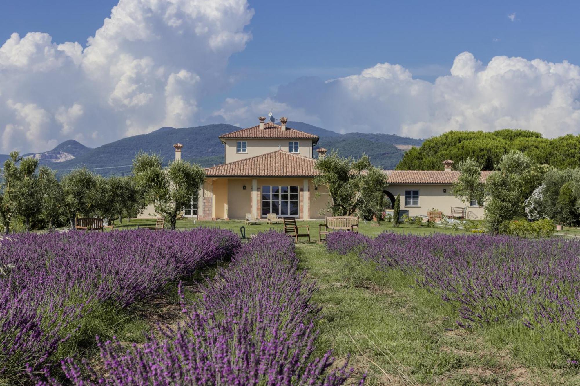 Agriturismo Villa Toscana カンピーリア・マリッティマ エクステリア 写真